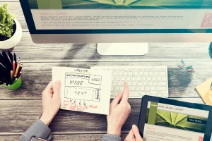 Web designers working on web design